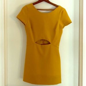 Flirty Zara scort dress!